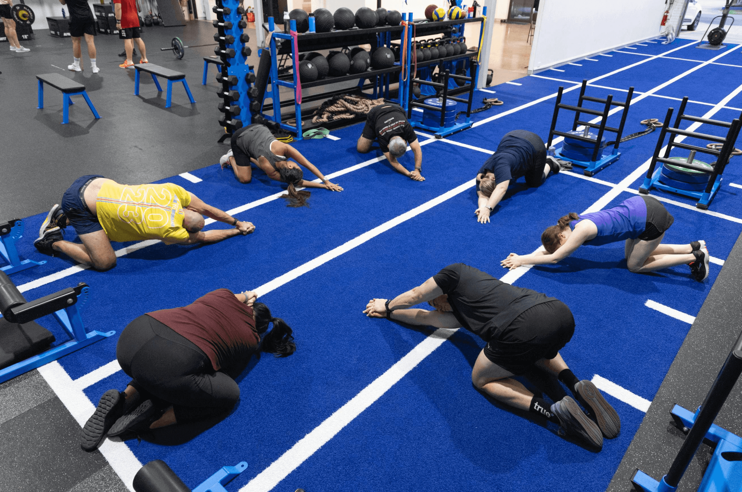 Perform 360 training